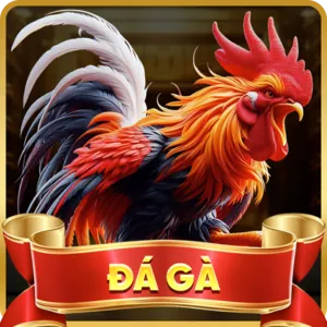 Đá gà W69 trực tuyến