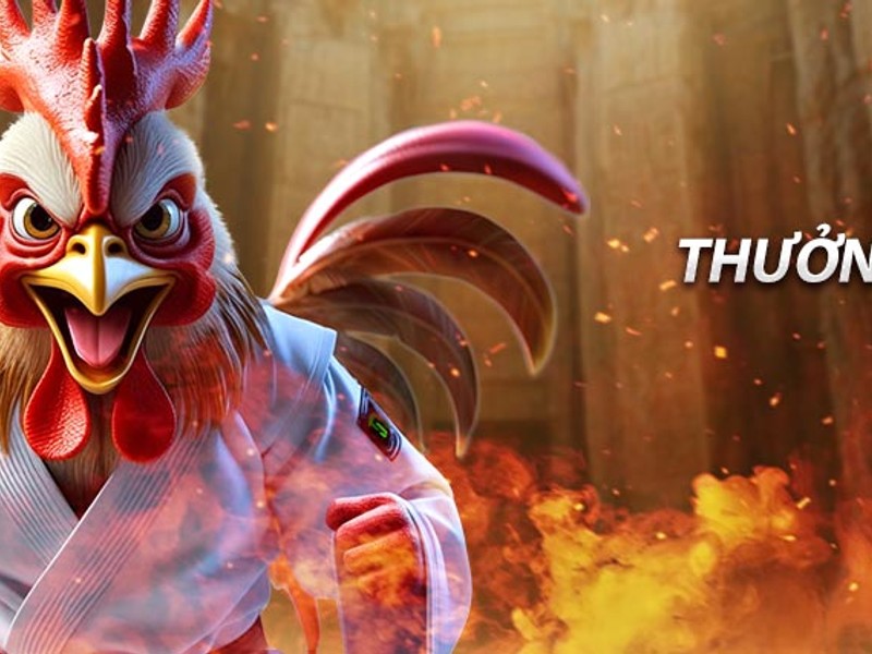 Hiểu rõ rủi ro và xác suất