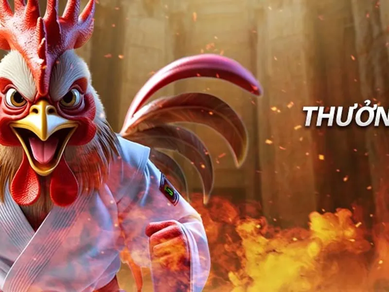 Hiểu rõ rủi ro và xác suất