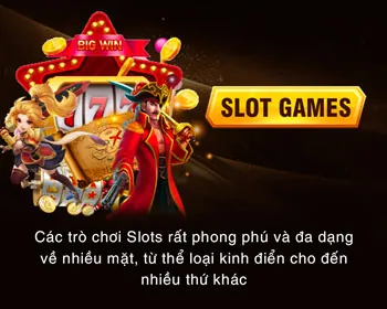 Phương thức thanh toán W69